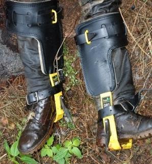 Policjanci ustalają tożsamość mężczyzny, którego ciało znaleziono w lesie