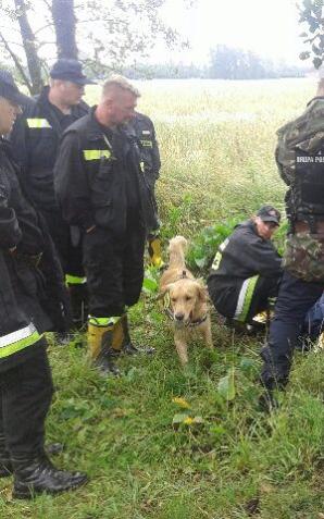 Łódź: Szczęśliwy finał poszukiwań 89-latki